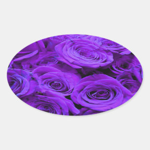 romantische violette paarse rozen , rozenroos bou ovale sticker