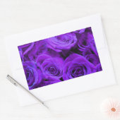 romantische violette paarse rozen ,  rozenroos bou rechthoekige sticker (Envelop)