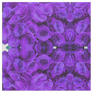 romantische violette paarse rozen ,  rozenroos bou stof