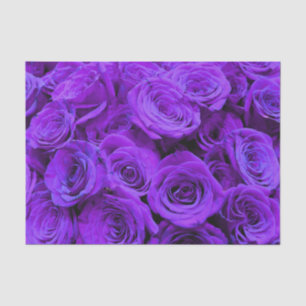 romantische violette paarse rozen , rozenroos bou tissuepapier