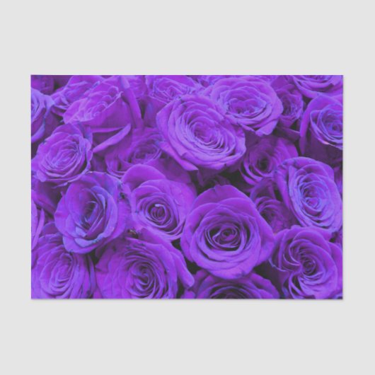 romantische violette paarse rozen ,  rozenroos bou tissuepapier (Voorkant)