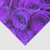 romantische violette paarse rozen ,  rozenroos bou tissuepapier (Detail)