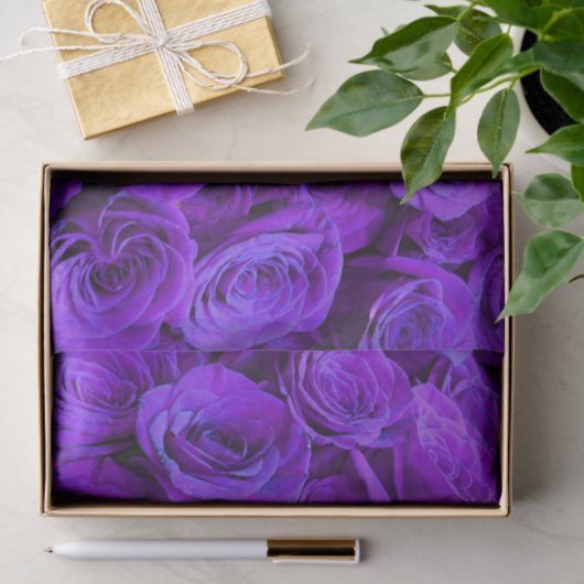 romantische violette paarse rozen ,  rozenroos bou tissuepapier (Geschenk)