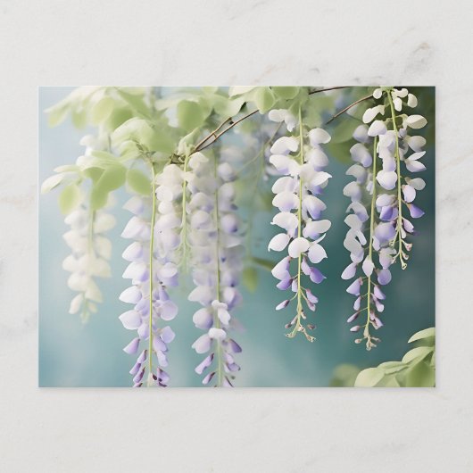 Romantische Wisteria Vine Waterverf op Dusty Blue Briefkaart (Voorkant)