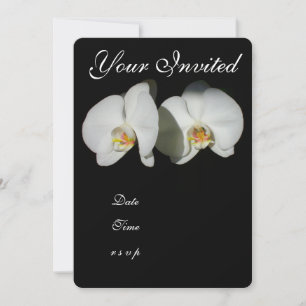 Romantische witte orchideeën, tropische bloemenfot kaart