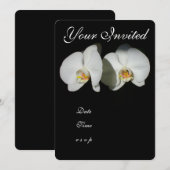 Romantische witte orchideeën, tropische foto van f kaart (Voorkant / Achterkant)