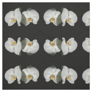 Romantische witte orchideeën, tropische foto van f stof
