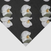 Romantische witte orchideeën, tropische foto van f tissuepapier (Detail)