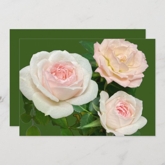 Romantische witte roze rozen kaart (Voorkant / Achterkant)