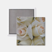 Romantische witte rozen - Square Magnet (Voorkant / Achterkant)