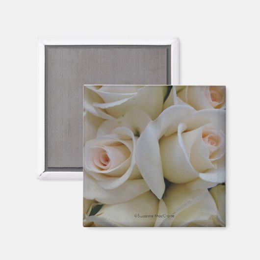 Romantische witte rozen - Square Magnet (Voorkant / Achterkant)