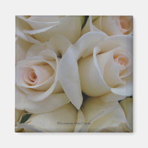 Romantische witte rozen ~ Square Magnet