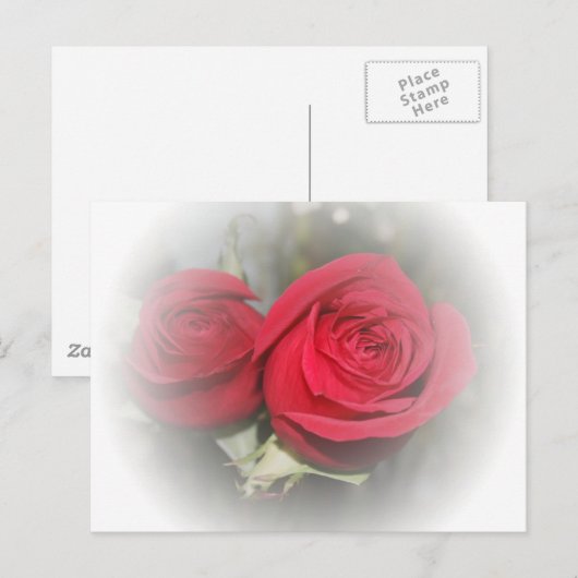 Romantische zachte rode rozen briefkaart (Voorkant / Achterkant)