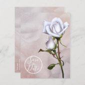 Romantische zachte witte rozen Elegant Save the Da Aankondigingskaart (Voorkant / Achterkant)