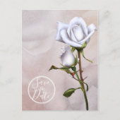 Romantische zachte witte rozen Elegant Save the Da Aankondigingskaart (Voorkant)