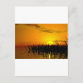 Romantische zeeschelt briefkaart (Voorkant)