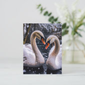 Romantische zwanen in een winterwonderland briefkaart (Staand voorkant)