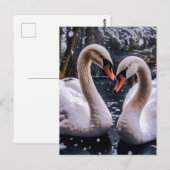 Romantische zwanen in een winterwonderland briefkaart (Voorkant / Achterkant)