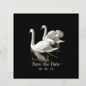 Romantische zwanen - Save the date-aankondiging Save The Date (Voorkant / Achterkant)