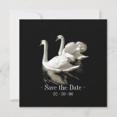 Romantische Zwans - sparen de datumaankondiging Save The Date (Voorkant)