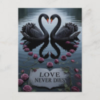 Romantische Zwarte Zwanen Hart Weerspiegeling met 