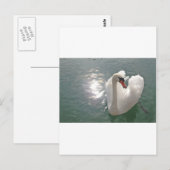Romantischer weisser Schwan Briefkaart (Voorkant / Achterkant)
