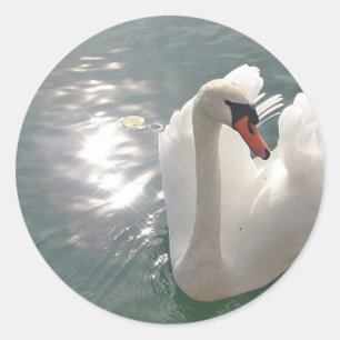 Romantischer weisser Schwan Ronde Sticker