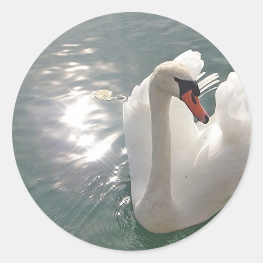 Romantischer weisser Schwan Ronde Sticker (Voorkant)