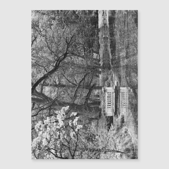 Romatisch meer (Voorkant)