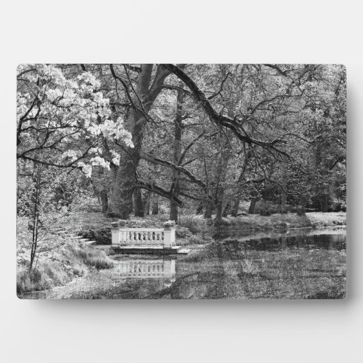 Romatisch meer fotoplaat (voorkant)