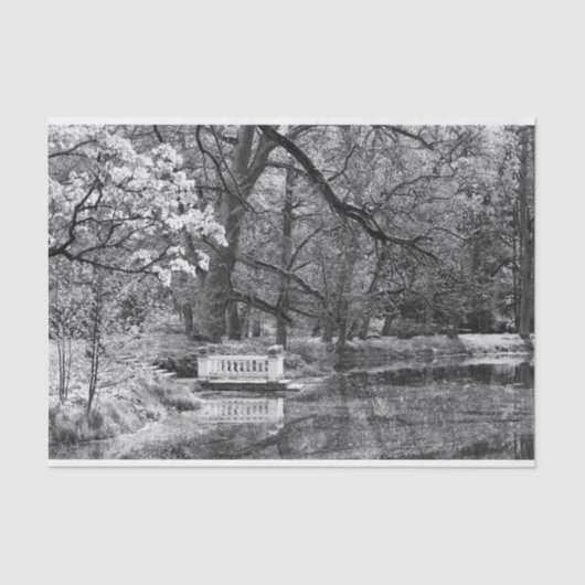 Romatisch meer tissuepapier (Voorkant)