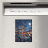 Rome Colosseum katten bij nacht Magneet (Insitu (Vaatwasser))