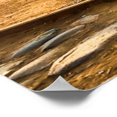 Rome Colosseum Poster (Hoek)