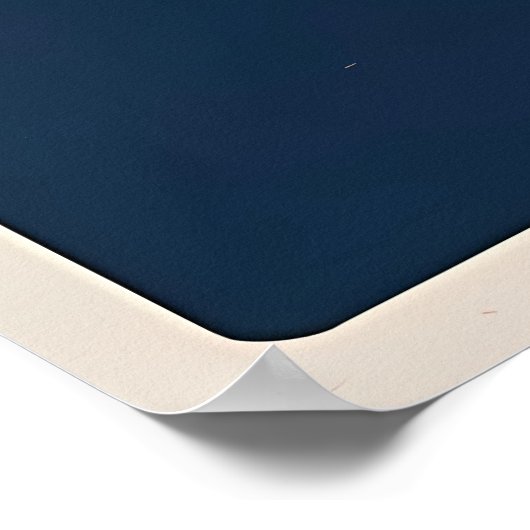 Rome – Colosseum & Ruïnes Poster (Hoek)