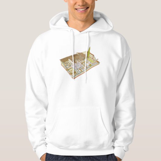 Rome. Domus Hoodie (Voorkant)