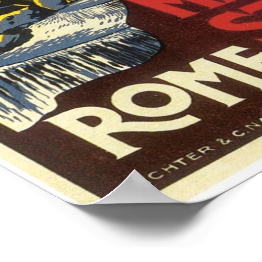 Rome Trevi Fontain Poster (Hoek)