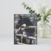 Romefoto Briefkaart (Staand voorkant)