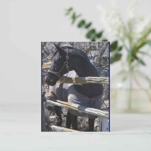 Romefoto Briefkaart (Staand voorkant)