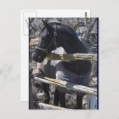 Romefoto Briefkaart (Voorkant / Achterkant)