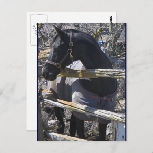 Romefoto Briefkaart (Voorkant / Achterkant)