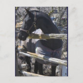 Romefoto Briefkaart (Voorkant)