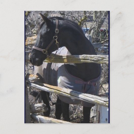 Romefoto Briefkaart (Voorkant)