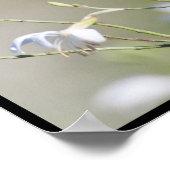 Romeinen 12:12 poster (Hoek)