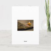 Romeinen 12:2 Niet met deze wereld worden geconfro Kaart (Achterkant)