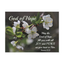 Romeinen 15:13 God of Hope White Flowers