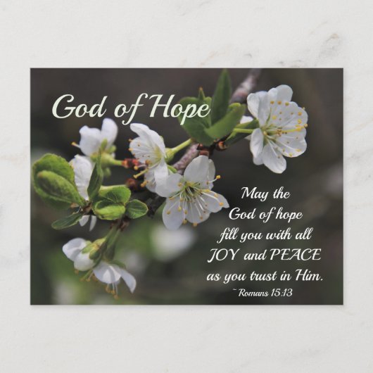 Romeinen 15:13 God of Hope White Flowers Briefkaart (Voorkant)