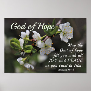 Romeinen 15:13 God of Hope White Flowers Poster