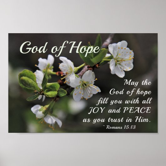 Romeinen 15:13 God of Hope White Flowers Poster (Voorkant)