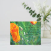 Romeinen 15:13 zacht klaproos Briefkaart (Staand voorkant)