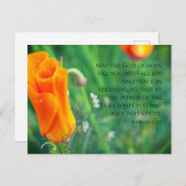 Romeinen 15:13 zacht klaproos Briefkaart (Voorkant / Achterkant)